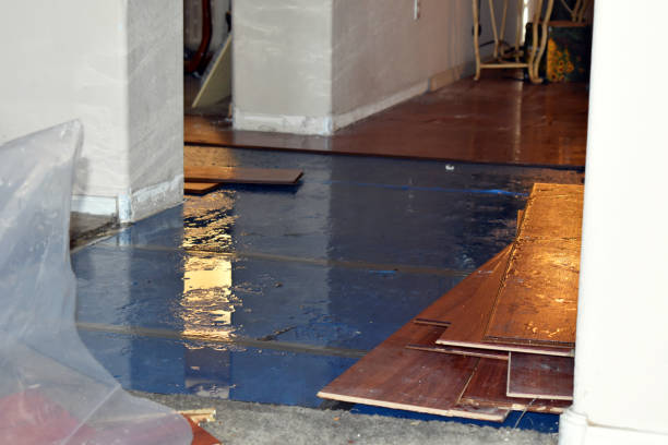 Professional Water Damage Restoration technician working in Monroeville, IN
